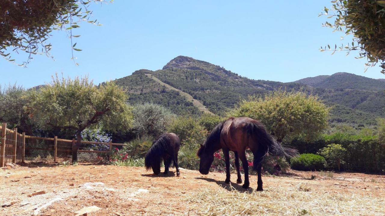 Finca Roca Vista, Adults Only Alhaurin el Grande Exterior photo